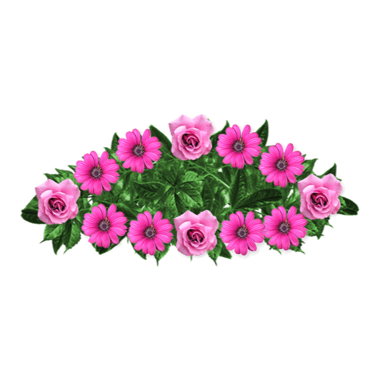 Ramo-flores-pesame-online-fallecido-Douglas Tompkins-1