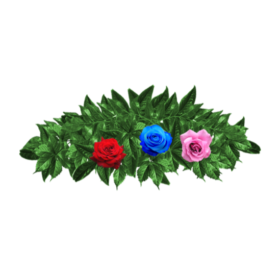 Ramo-flores-pesame-online-fallecido-Anna Fernández Moreno -1