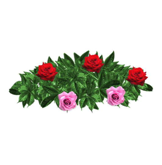 Ramo-flores-pesame-online-fallecido-Juan Fernández Segura -5