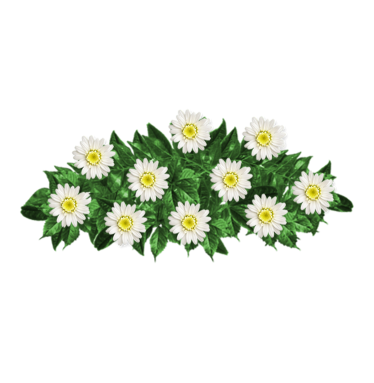 Ramo-flores-pesame-online-fallecido--660