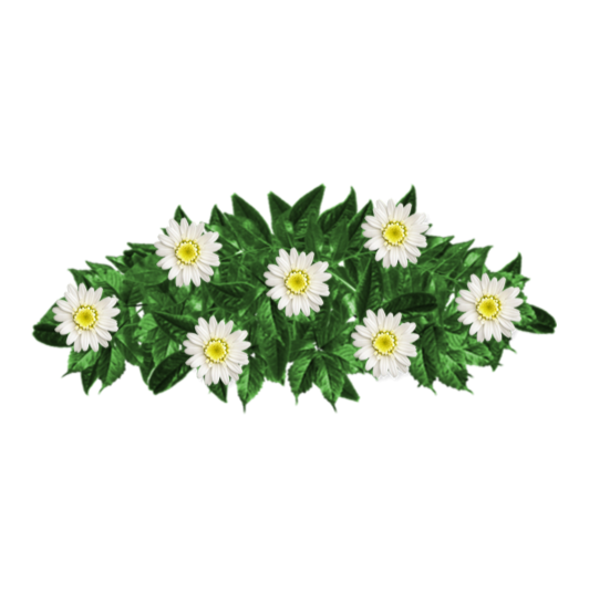 Ramo-flores-pesame-online-fallecido--626