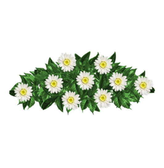 Ramo-flores-pesame-online-fallecido--597