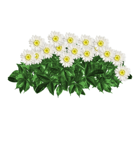 Ramo-flores-pesame-online-fallecido--194