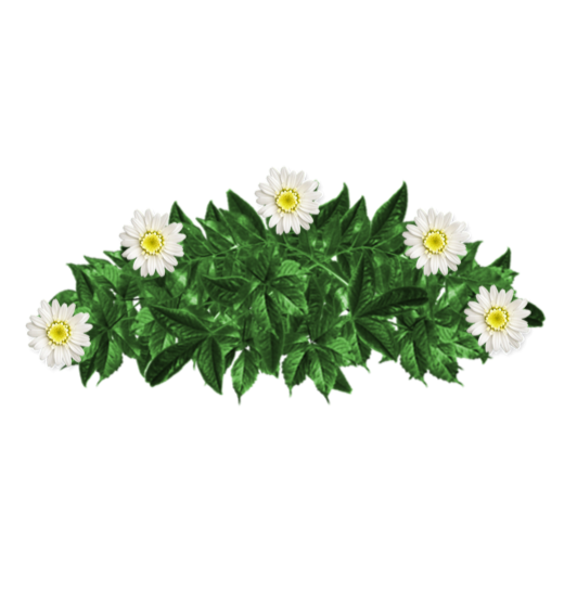 Ramo-flores-pesame-online-fallecido-Letizia Battaglia-1
