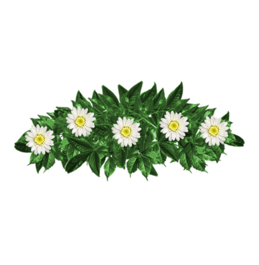 Ramo-flores-pesame-online-fallecido--349