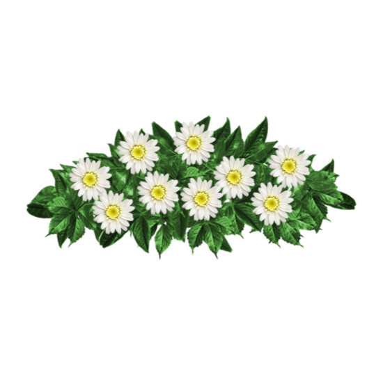 Ramo-flores-pesame-online-fallecido--3