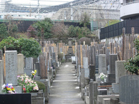 Cementerio Shibuya, Japón
